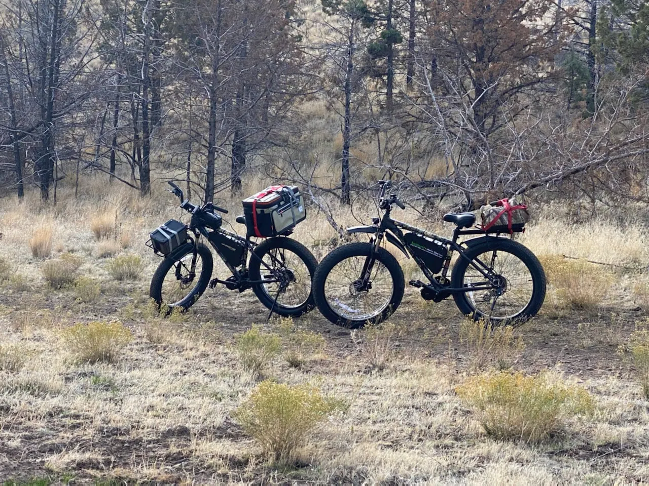 Two Orion hunting e-bikes loaded with gear in the pines near Bend